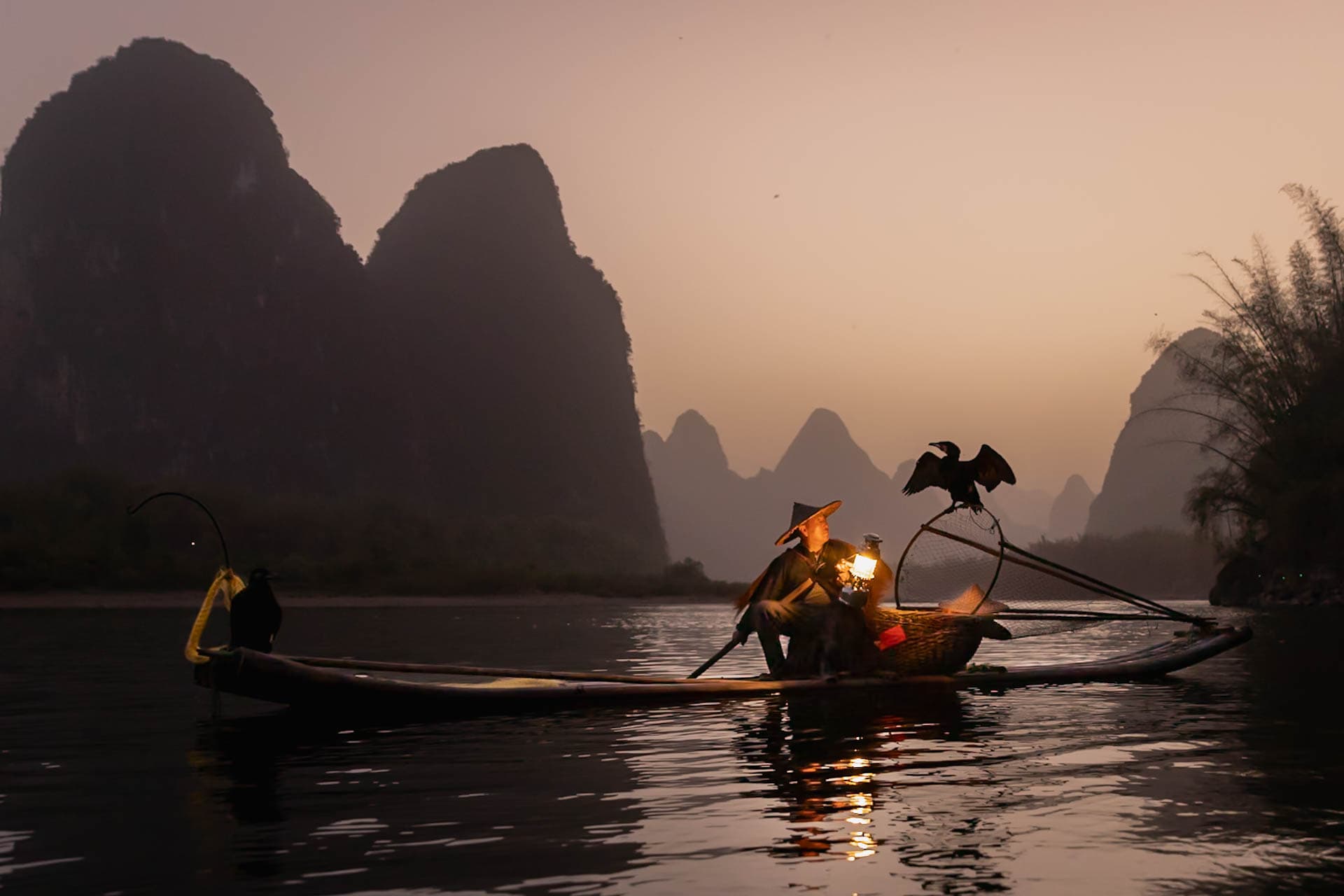 Winning photo by Jo Martindale