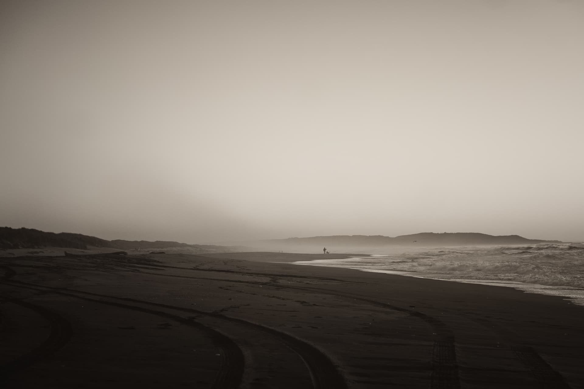 Winning photo by Sarah Ashton-Boyd